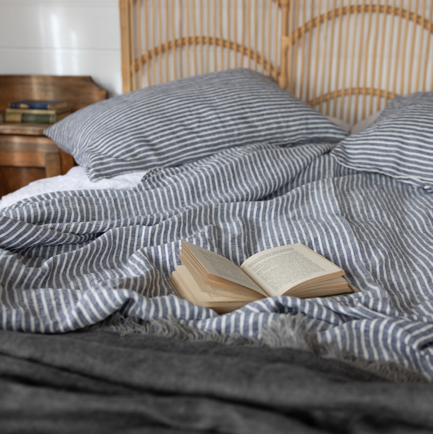 Chambray stripe and denim linen